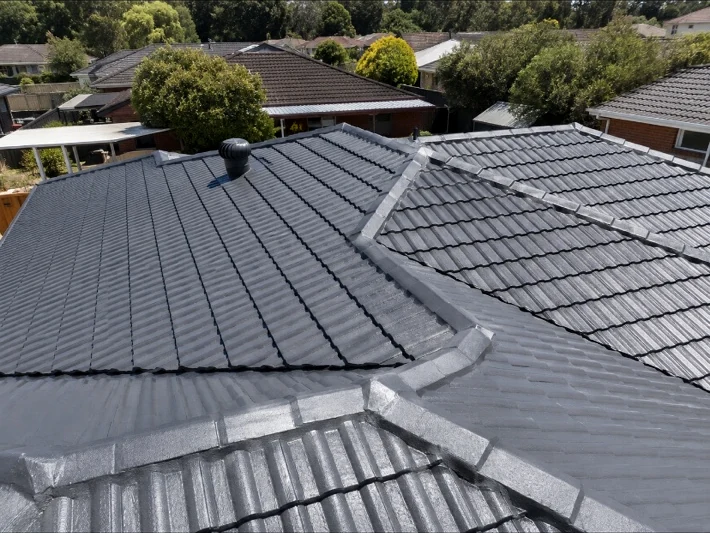 RSA Painting completed roof restoration